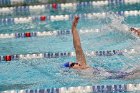 Swimming & Diving vs Babson  Swimming & Diving vs Babson College. - Photo by Keith Nordstrom : Wheaton, Swimming
